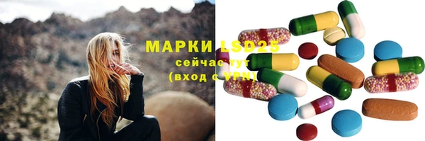 стаф Михайлов