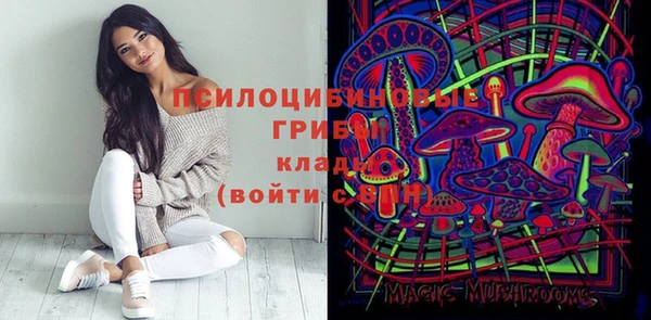 стаф Михайлов