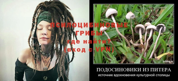 ALPHA PVP Михайловка