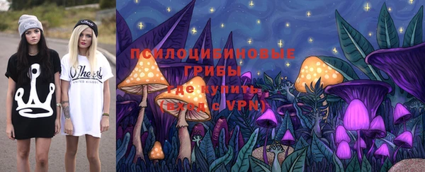прущие грибы Белоозёрский