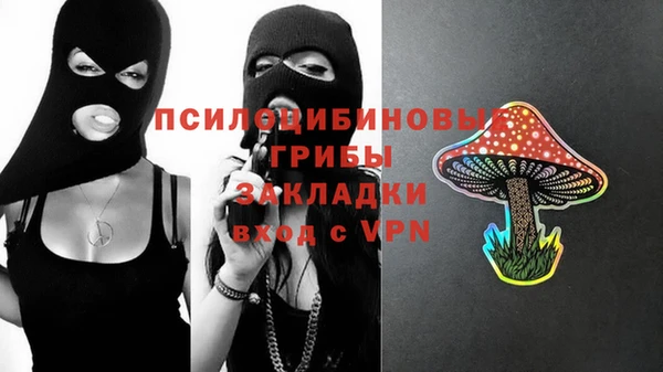 стаф Михайлов