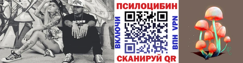 где найти   Вичуга  Галлюциногенные грибы MAGIC MUSHROOMS 