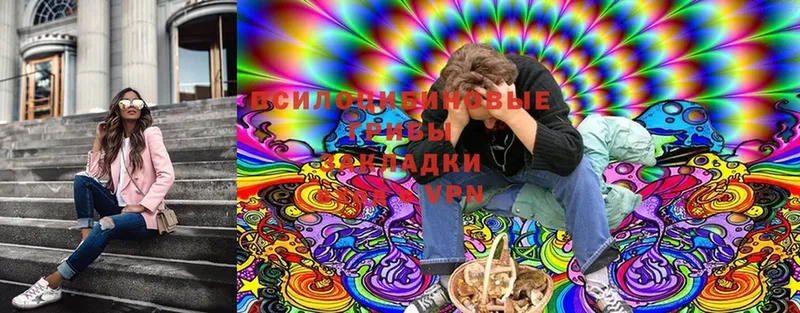 Псилоцибиновые грибы Magic Shrooms  Вичуга 