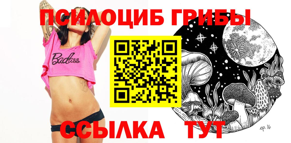 Псилоцибиновые грибы Psilocybine cubensis Вичуга