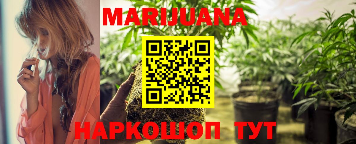 Марихуана сатива Вичуга